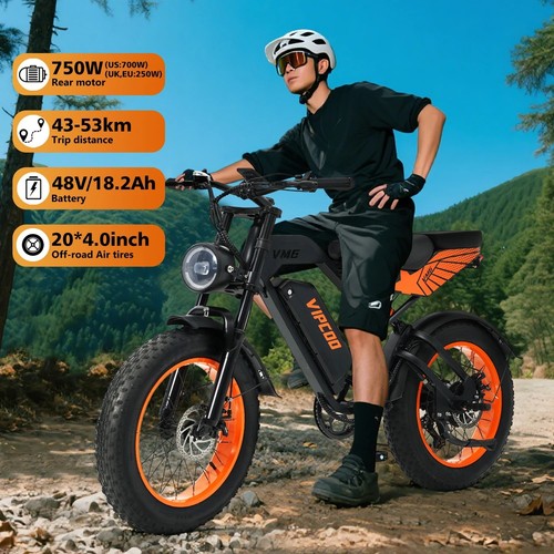 Elektrofahrrad 750W Motor 48V 18,2Ah Fat Tire E-Bike 20x4.0 All Terrain Erwachsene - Bild 2 von 7
