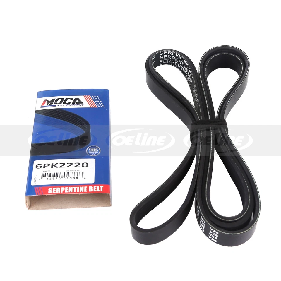 Kit de componentes de correa de transmisión Serpentine para 07-11 Ford Focus Transit Connect 2,0 L Foto 3 de 4