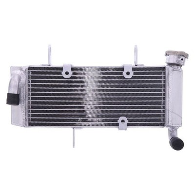 Wasserkühler für Kawasaki Ninja 125 B ABS Baujahr 2021-2022 - Neu