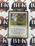 Wild Aesthir (MTG NM) Alliances Regular