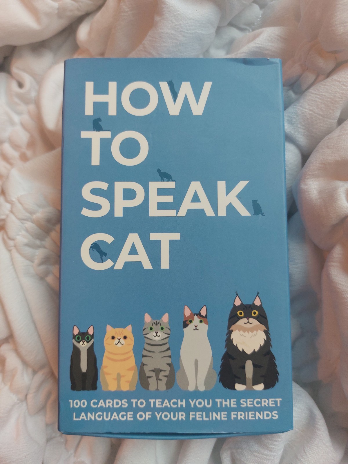 Cat How To Speak Cat 100 Cards teach you the secret language of cats New in box