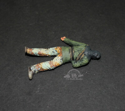 (Pre-Order) Terrorist Take Down 1/35 Pro Built Model #2