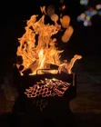 Travel Grill | Camping Foldable Grill | Collapsible grill | Portable BBQ