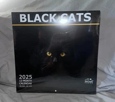 MiCasa Press 2025 Black Cats 12 Month Wall Calendar NEW Kittens Art Sealed