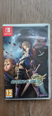 AeternoBlade II (Nintendo Switch) - Action Puzzle RPG - Guter Zustand