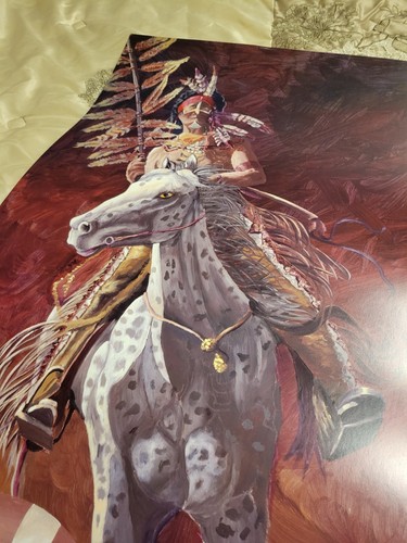 Chief Osceola & Renegade Florida State Seminolen Maskottchen 36 x 24 im Druck signiert - Bild 2 von 6