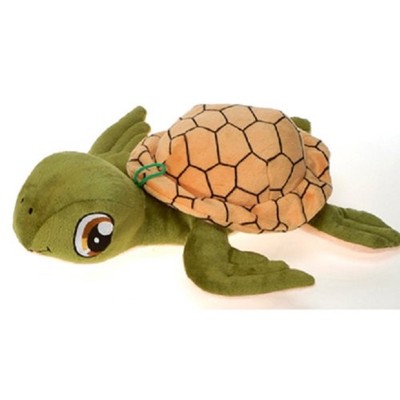 green turtle pet