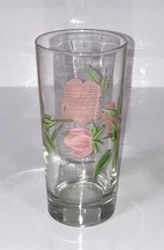 Franciscan Desert Rose 14 Ounce Tumbler Drinking Glass