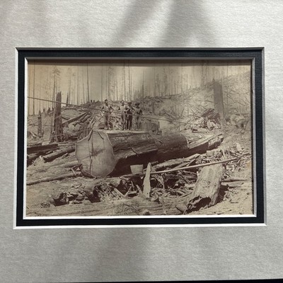 1900 NW California Antique Photograph On Board Logger camp cabinet card logging