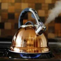 3.5L COPPER STAINLESS STEEL WHISTLING KETTLE GAS ELECTRIC & INDUCTION HOB BNIB
