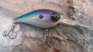 Medium-Diver-Crankbait-Sag-Nasty-Shad-Custom-Painted-Sexy-Fishing-Lure