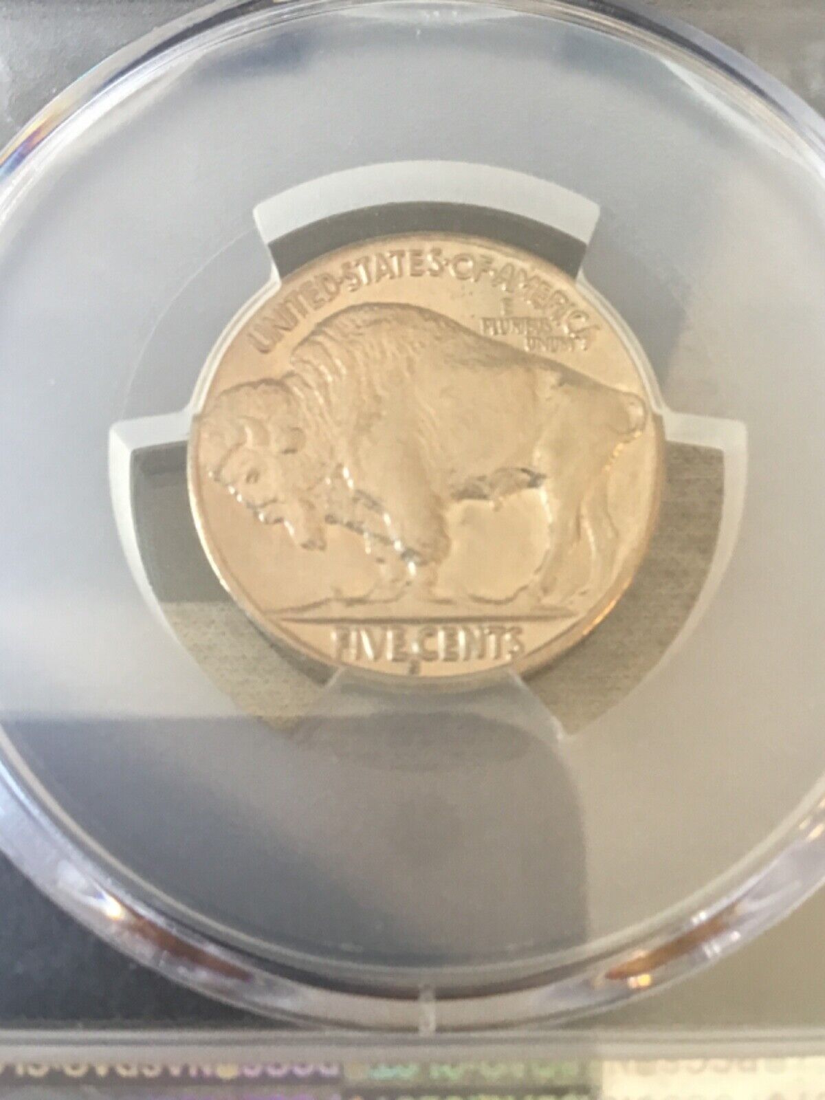 Picture 5 of 6