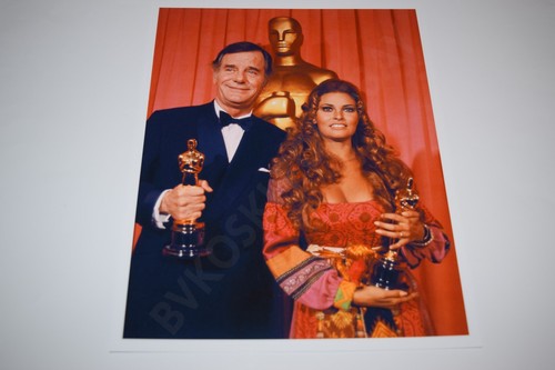 Raquel Welch pinup 8x10 glossy photo Busty Sexy Gorgeous Cleavage 1079