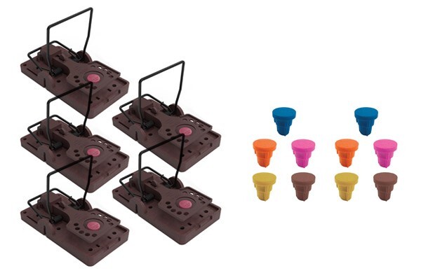 Pack tapettes souris Gorilla Traps puissantes et 10 appâts pour dératisation maison