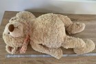 Picture 8 of 8
