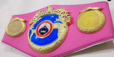 DWB Defiant Wolf Boxing Wrestling Championship Belt Replica