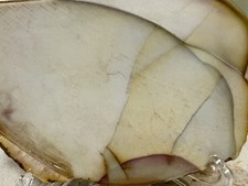 Willow Creek Jasper Slab, Lot#72
