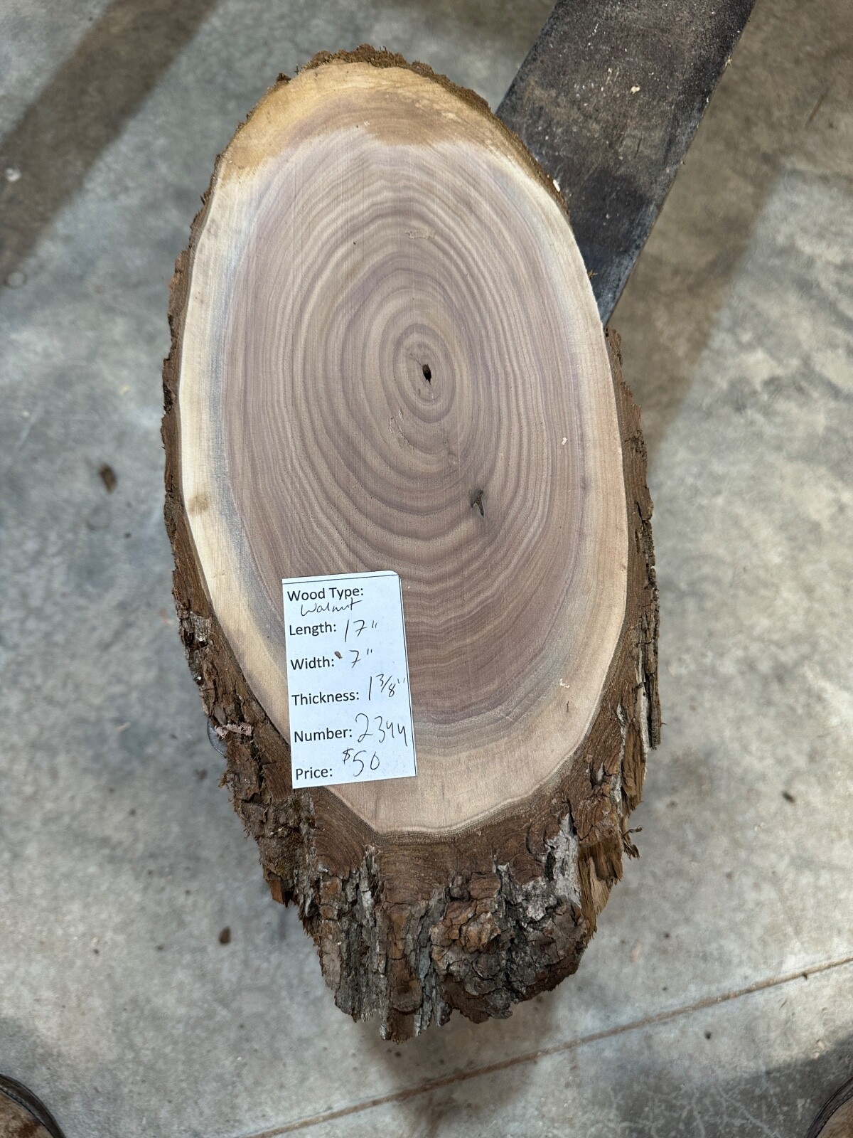 Black Walnut Live Edge Cookie Slab #2344 Unfinished with Free Shipping