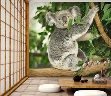 3D Cute Koala ZHU262 Animal Wallpaper Wall Mural Removable Self-adhesive Zoe