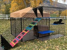 8' X 8' Welded Wire Kennel With Grand Ramp  Platform Maze