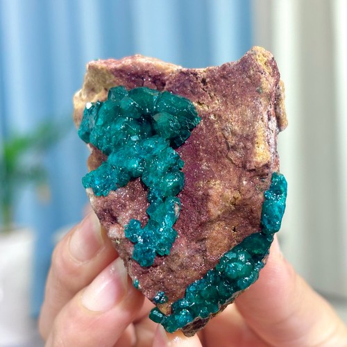 101G Natural Green Dioptase With Malachite Gemstone Cluster Mineral Specimen - Bild 19 von 24