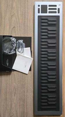 ROLI Seaboard Rise 2 | 49-key MIDI Keyboard | eBay
