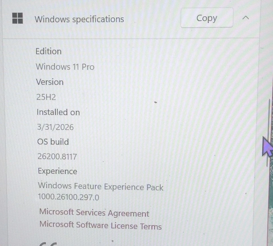 product-image-3