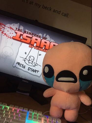 The Binding of Isaac Juguete de Peluche Muñeca Suave ISSAC Cosplay Divertido Regalo 30 cm - Imagen 3 de 4