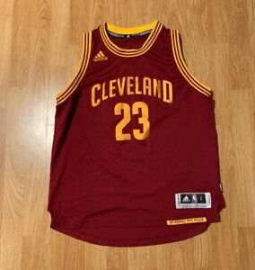 lebron james cavaliers swingman jersey