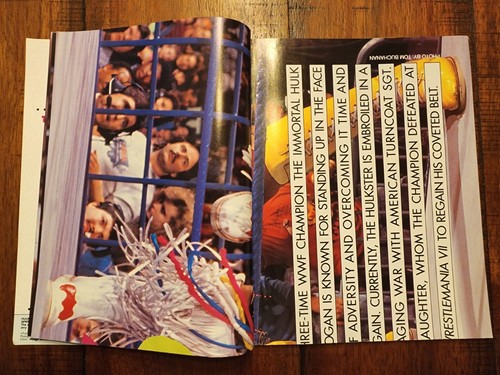 WWF Poster #1 WWE Special Edition Magazin *hat alle Poster* 1991 B - Bild 10 von 17