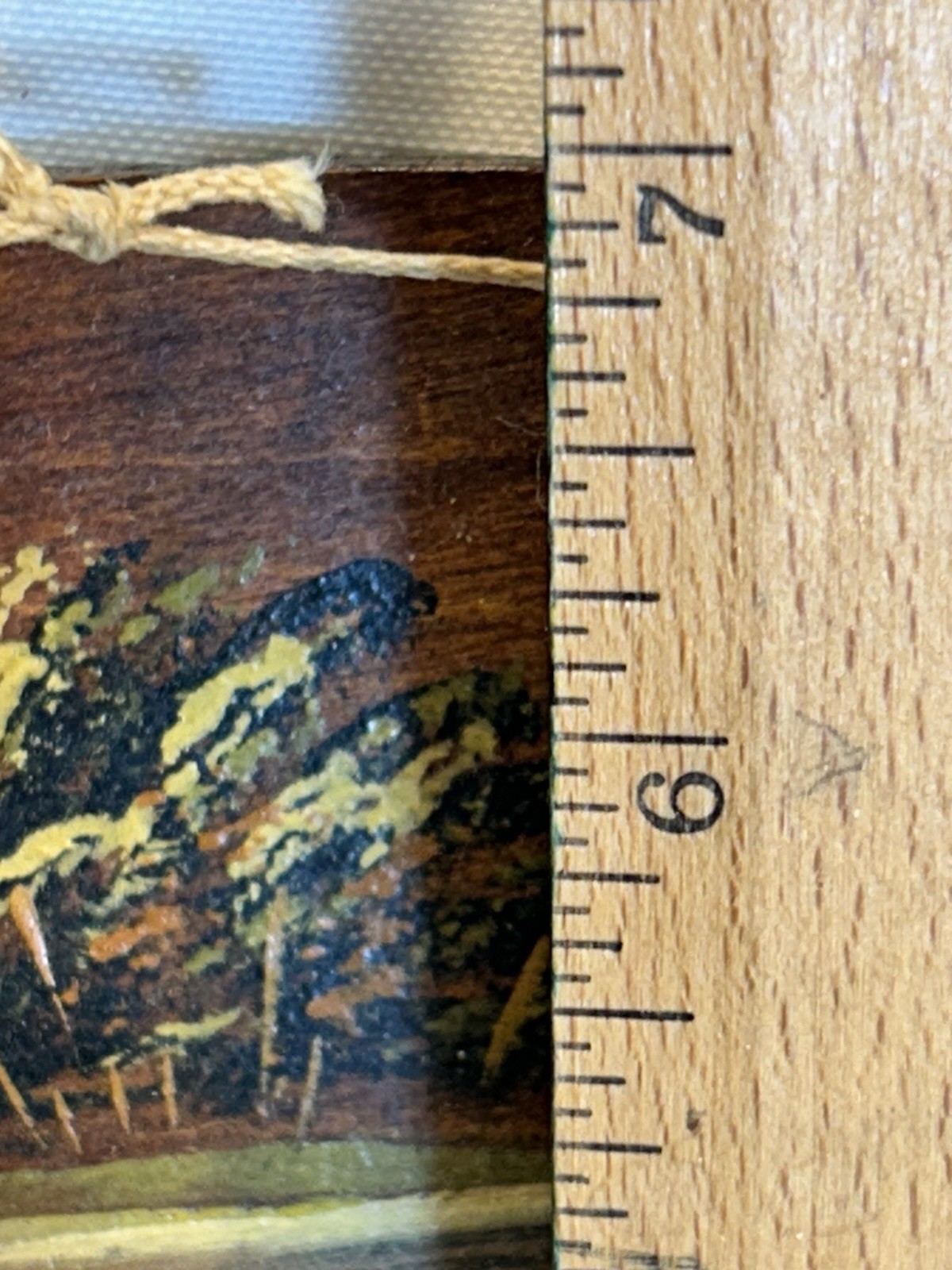 Foto 11 di 12