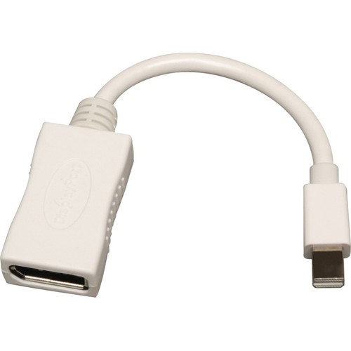 Tripp Lite P139-06N-DP Audio/Video Cable Adapter - for Monitor - 6" - 1 x Mini