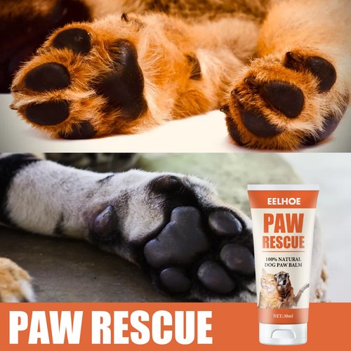 30ml Hundepfotenbalsam Haustier Feuchtigkeitsspendende Pfotencreme Hunde Katzen Feuchtigkeitsspendende Pfotenpflege - Bild 2 von 6