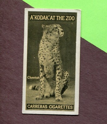 cheetah cigarettes 1924 CARRERAS LTD. CIGARETTES A 
