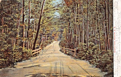 Plymouth NH-LOVER'S Lane-Postcard 1907 Groveton-Boston Rpo Pmk