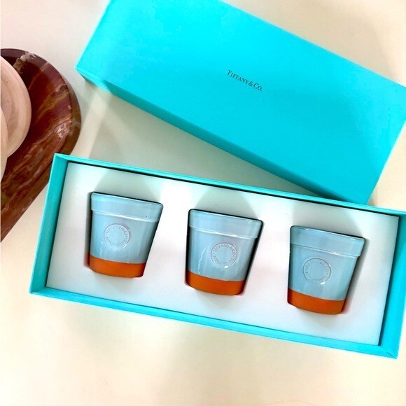 Tiffany & Co. 陶器 花器 3個セット Tiffany & Co. Set of 3 Small Flower Pot Planters in Tiffany