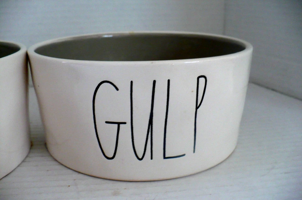 Conjunto/2 pratos de cerâmica Ray Dunn para animais de estimação "Devour" e "Gulp" - Imagem 3 de 4