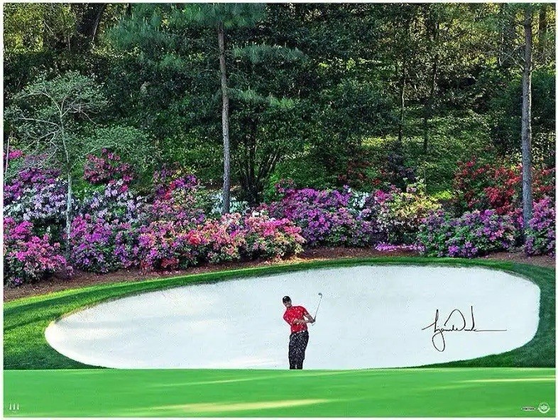 Tiger Woods Autographed Signed Azalea Hole 40X30...framed And Professionally Matted. 