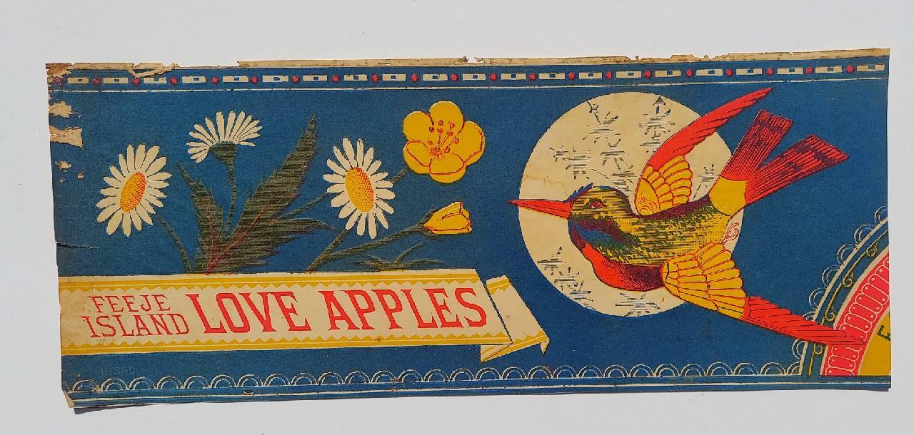 RARE 1880's Fruit Crate Label FIJI ISLAND LOVE APPLES E.C.Ha