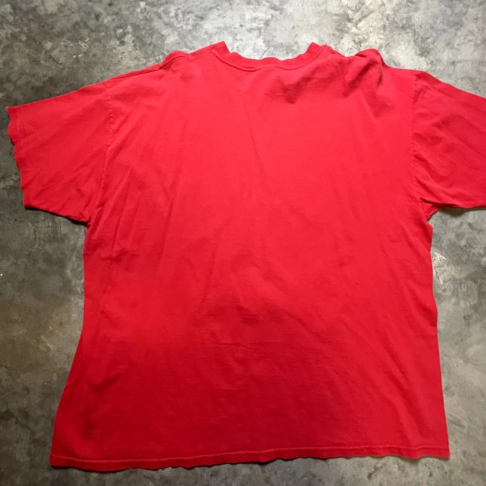 Camiseta vintage Hanes Heavyweight roja Florida Panthers NHL 3XL Foto 4 de 4