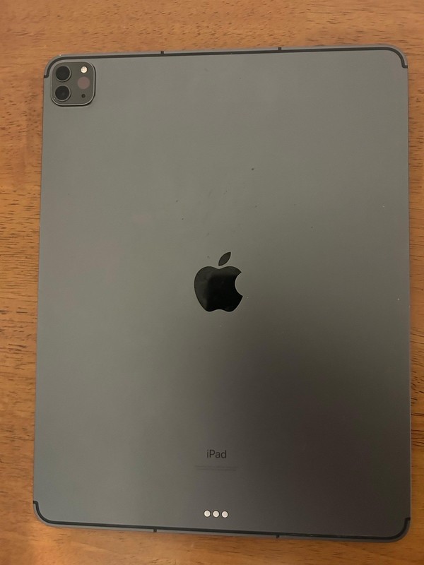 Apple iPad Pro Series Apple iPad Pro Tablet - Gray, Built-In Rear Camera