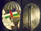 MILITARY INSIGNIA - OPERATION BARRACUDA CENTRAL AFRICA - DELSART