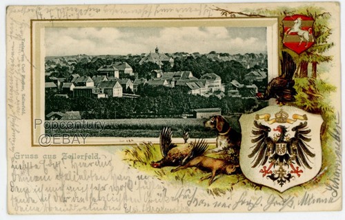 Vintage 1904 Postcard Germany Gruss Zellerfeld Panoramic Posted Photograph Photo - Picture 1 of 2
