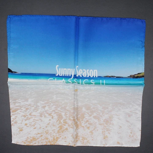 NEW Gladson Mens Silk Pocket Square 12.5” Blue Beach Surf Print Italy Rolled