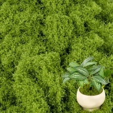 Fake Green Moss - MAQIHAN Artificial Moss for Plants Indoor Faux Grass for