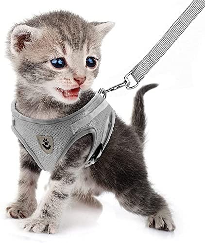 Dog Harness and Leash Set for Walking, Soft Mesh Adjustable Easy Control Lightwe