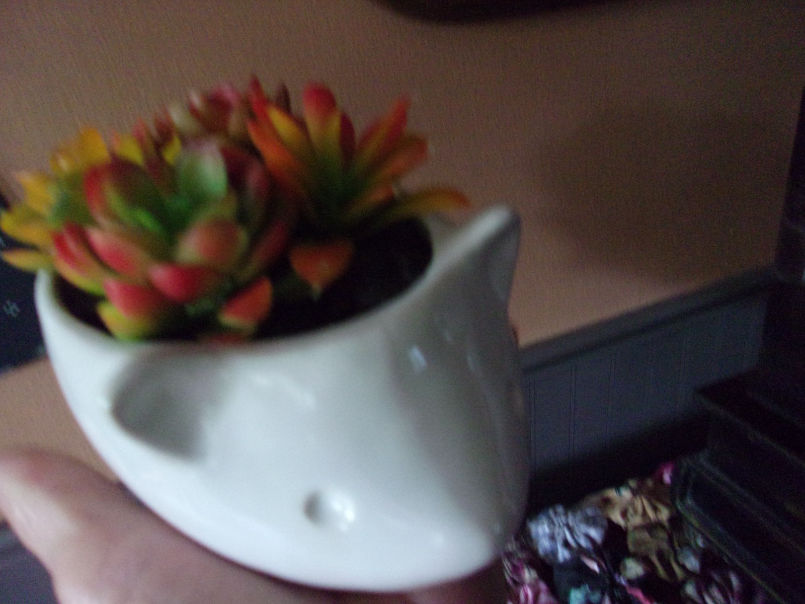 Bild 1 von 5