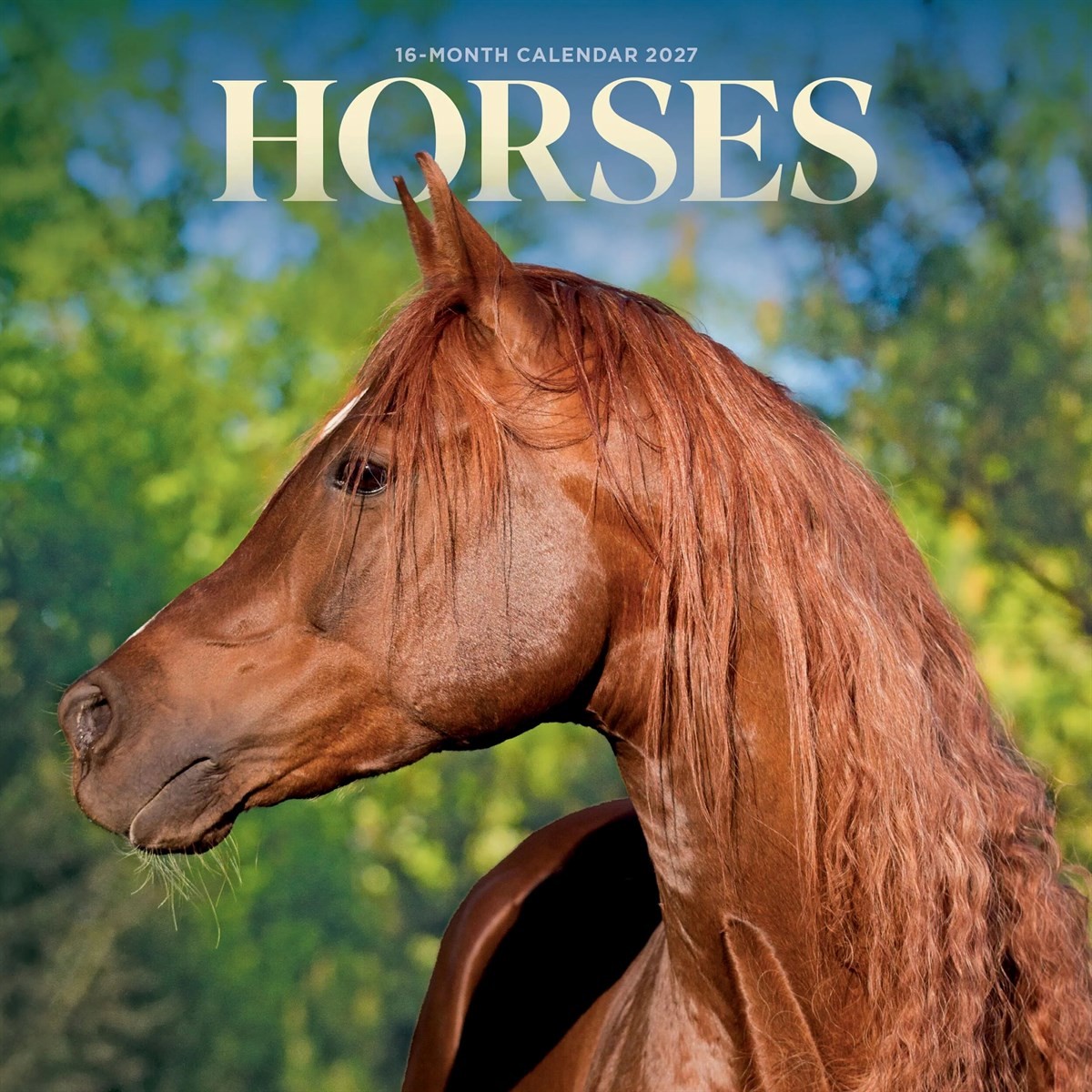 Horses M (Calendar) - Image 2