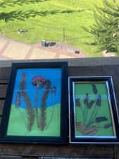 Dried Flowers in Frames 2 Pieces Pack Set Home Decor