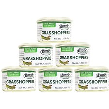 Canned Grasshoppers (6 Pack)- Hedgehogs, Suga...